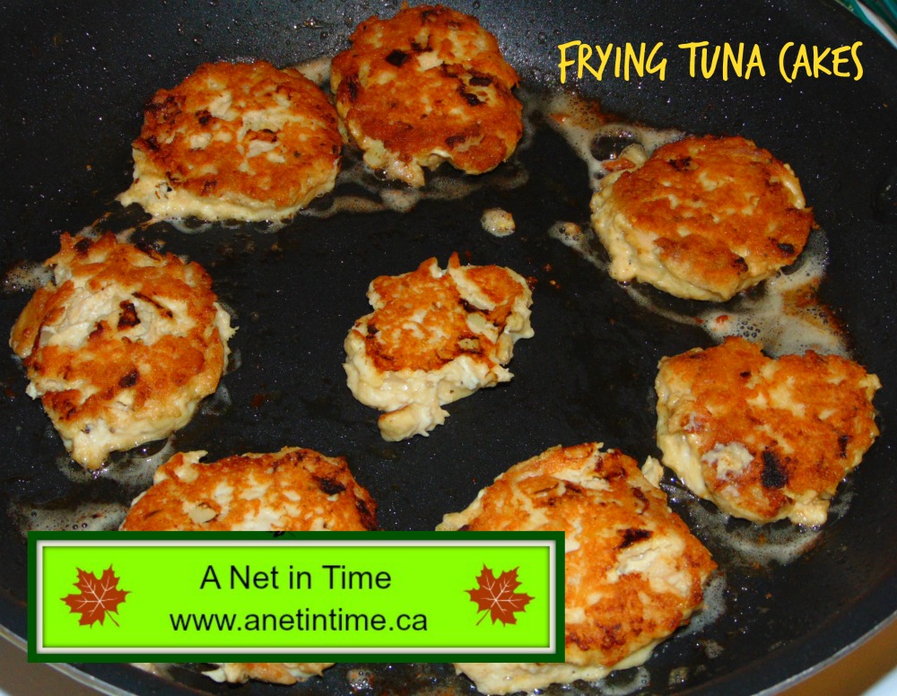 Recipe Tuna Cakes A Net in Time