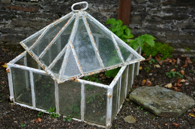 The Lost Gardens of Heligan in Cornwall