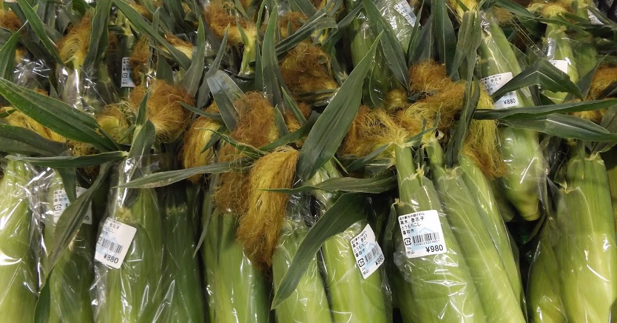 道の駅・川の駅 “水の郷さわら” とうもろこし販売開始！