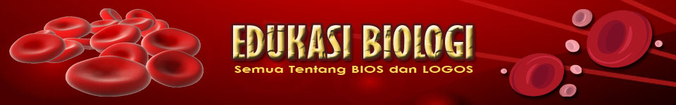 Edukasi Biologi