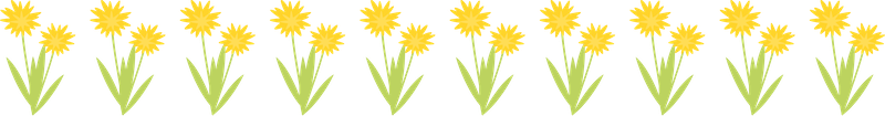 yellow flower border