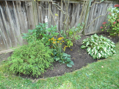 Riverdale backyard Toronto fall clean up after by Paul Jung Gardening Services Riverdale backyard Toronto fall clean up after by Paul Jung Gardening Services