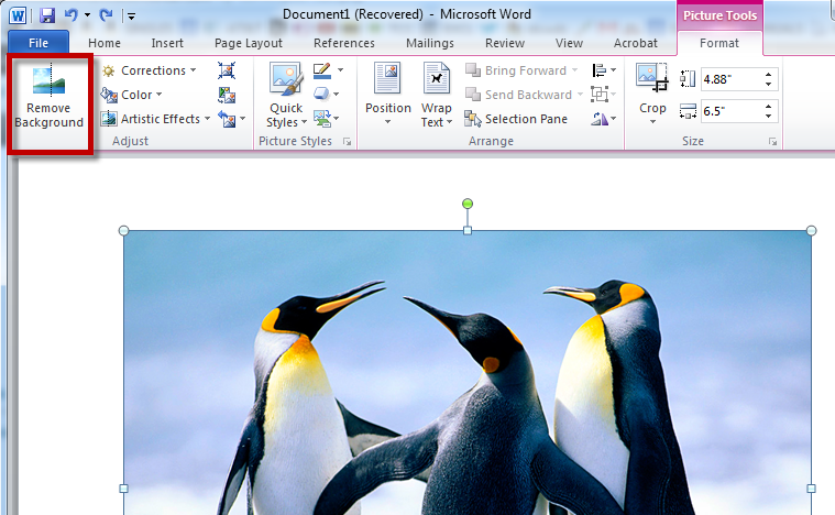 Remove Background Of Picture In MS Word 2013 Netscope Technologies