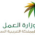 السعودية تتخذ قرار هام بشأن العمالة الأجنبية الموجودة بالمملكة