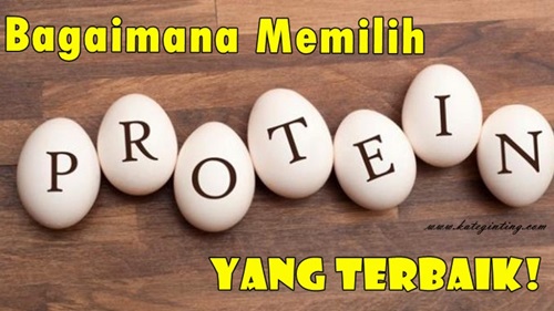 Bagaimana Memilih Serbuk Protein yang Terbaik | kateginting.com http://www.kateginting.com/2018/04/bagaimana-memilih-serbuk-protein-yang-terbaik.html