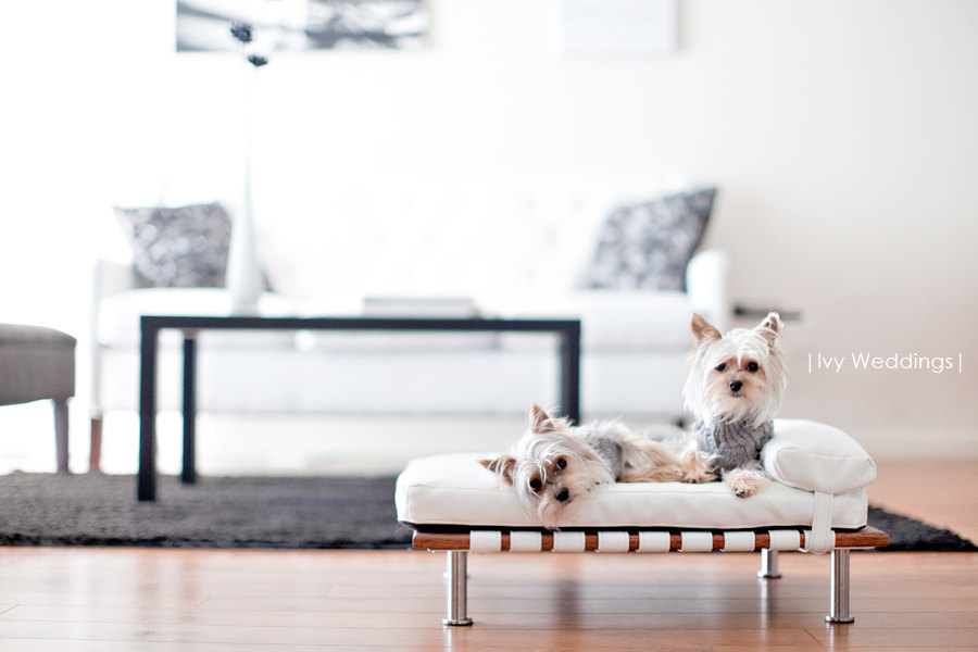 Dogs We Luv Pet Beds At Etsy Looking For A Modern Design Bed Your Dog Or Cat Found These Adorable Pet Beds Over At Etsy