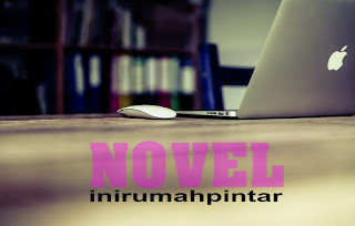Pengertian, Ciri, Unsur, Jenis-jenis Novel - INIRUMAHPINTAR.com