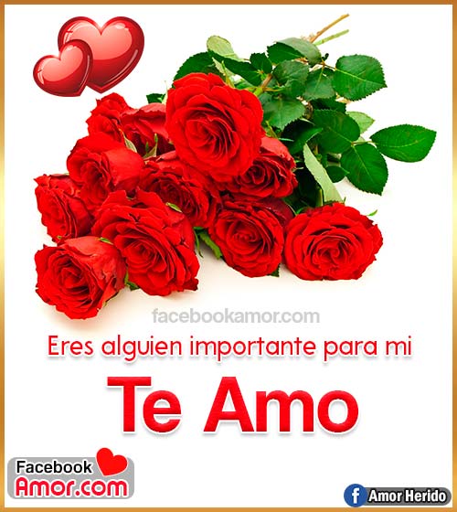 ramo de rosas para amor ramo de rosas para amor