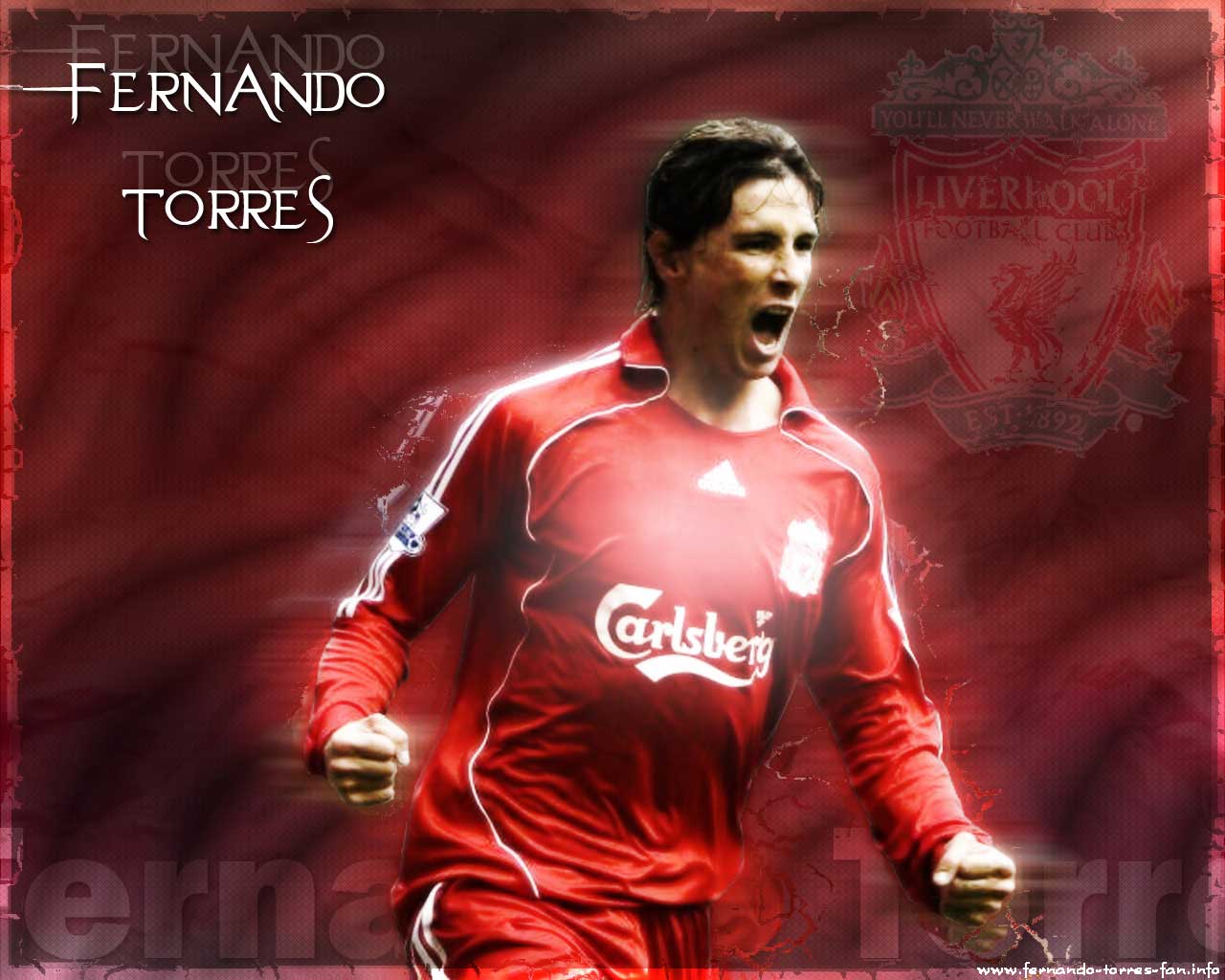 Fernando Torres Wallpaper ~ celebrity sport