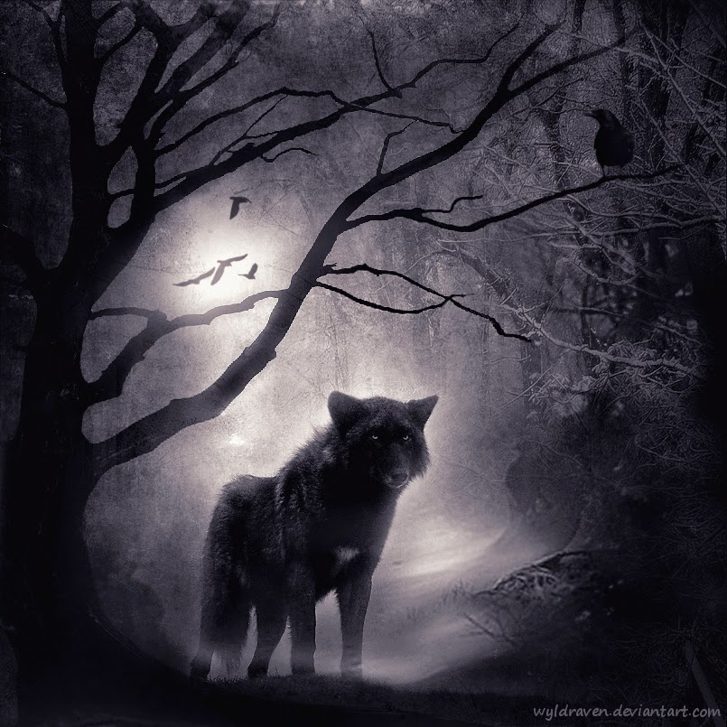 04-Wolfwood-wyldraven-Surreal-Night-Time-Photo-Manipulation-www-designstack-co
