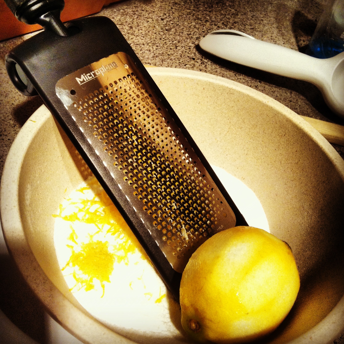 The Penny Pinch DIY Garbage Disposal Pellets