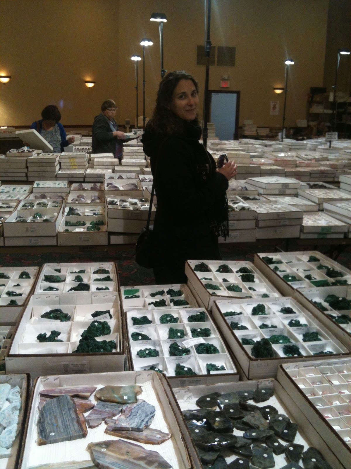 Natural History Museum of L.A. Minblog Tucson part 2 Hotel shows