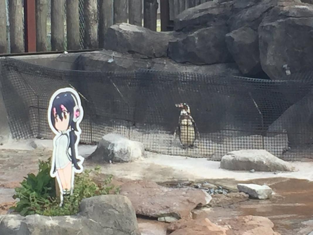 Kemono Friends Kemono Friends