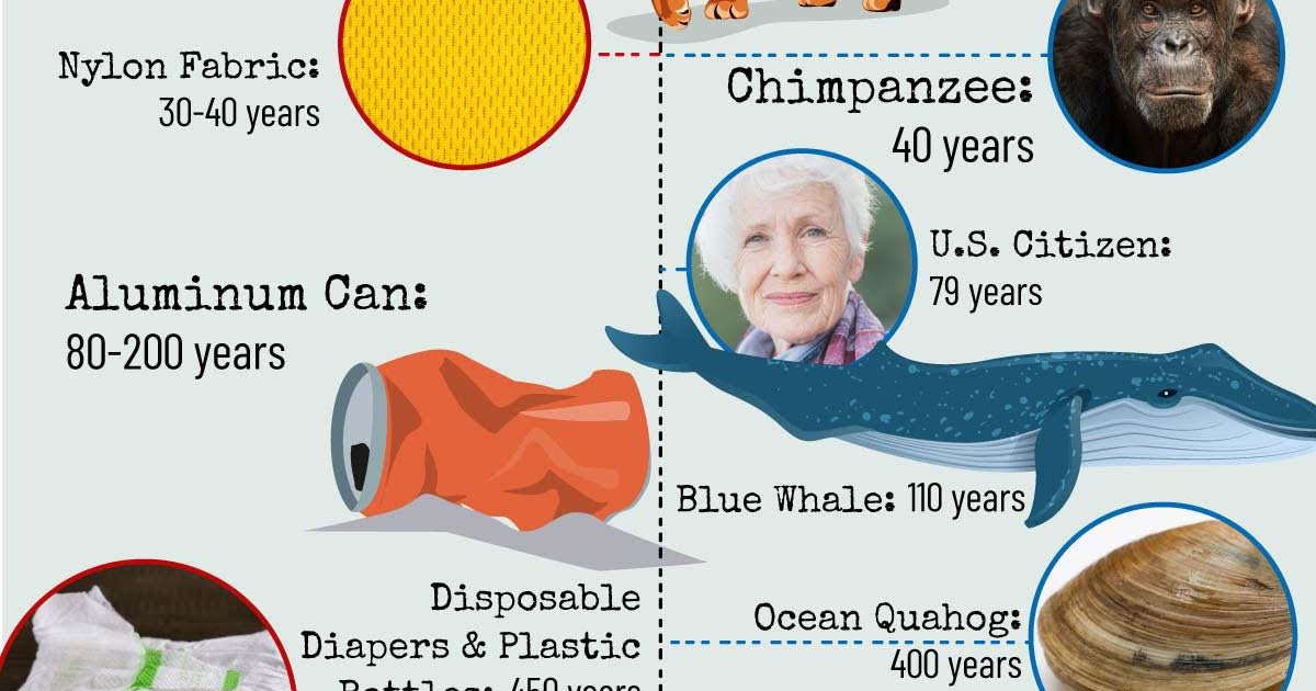 How Long Does Your Garbage Live For? [Infographic] ownvisual