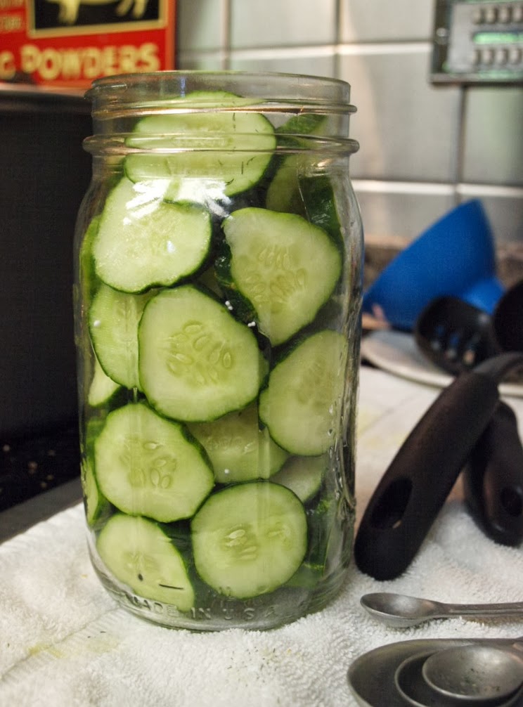 Ohio Thoughts Cucumbers into Pickles