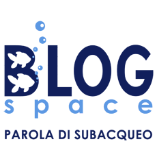 Blog Space - Parola di subacqueo