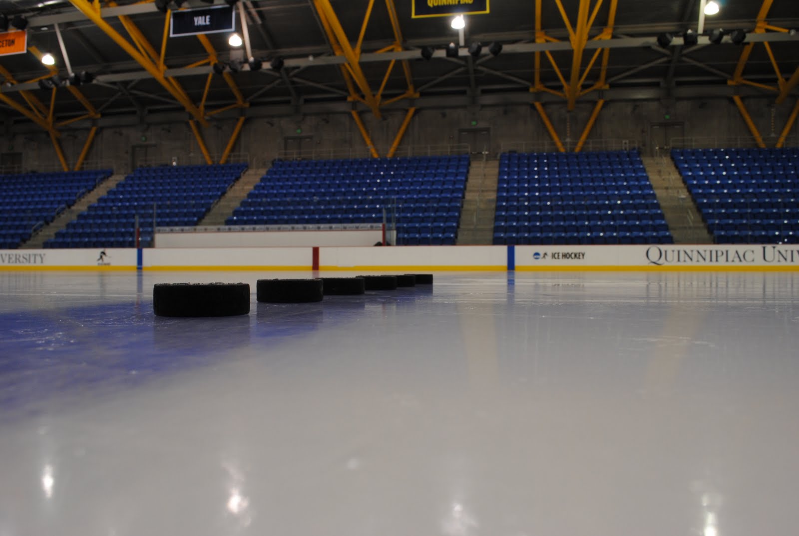 Skating the Dream Quinnipiac Women's Ice Hockey Photo Gallery