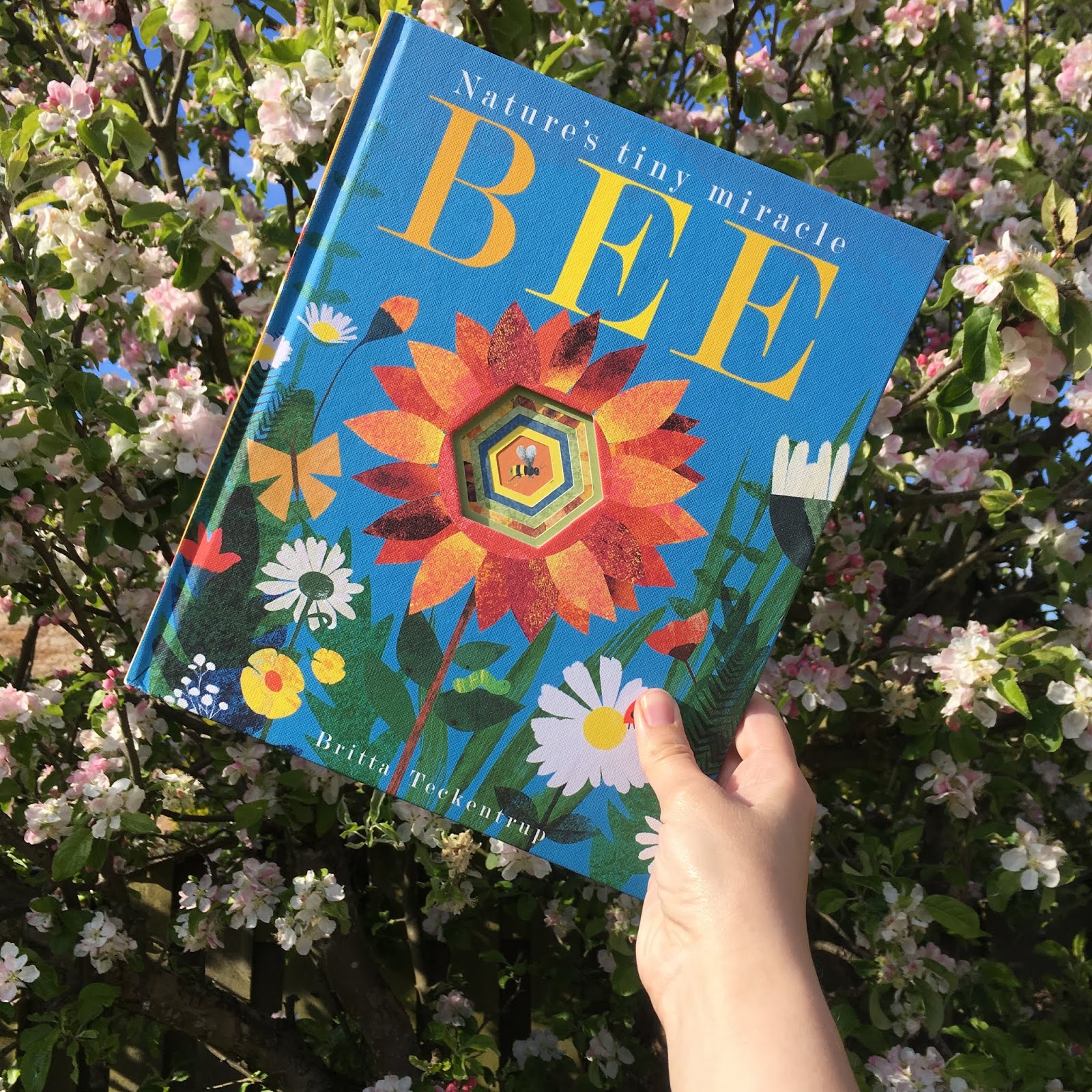 The Ultimate List of Books About Bees BookBairn
