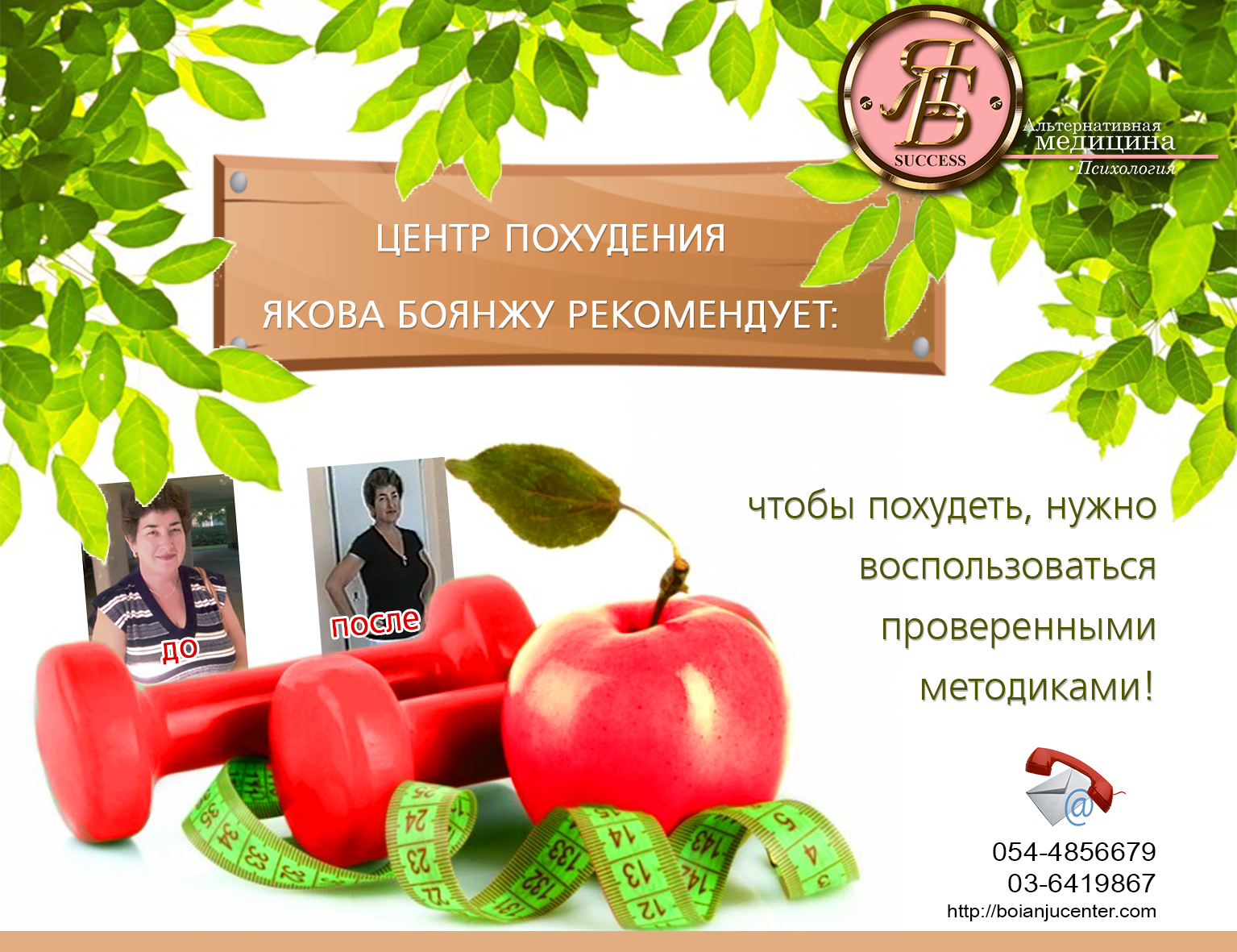 Диета по методике венеры шариповой. Система венеры шариповой похудения. Методика похудения. Программа похудения. Международный алгоритм снижения веса.