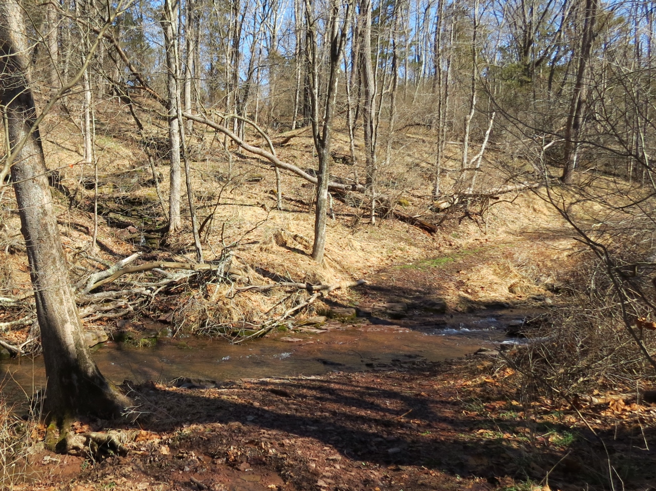 Gone Hikin' Horseshoe Bend Park, NJ North