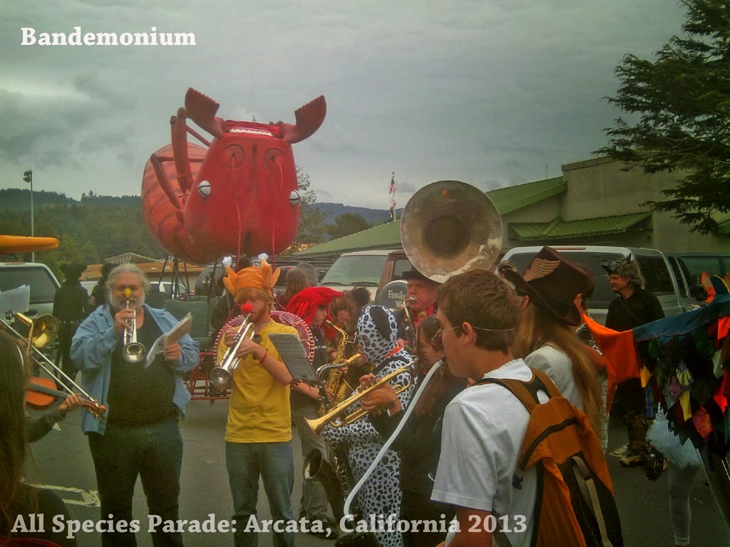 Arcata California Photographs of Dancers Parades Celebrations and Drummers by Greg Vanderlaan gvan42