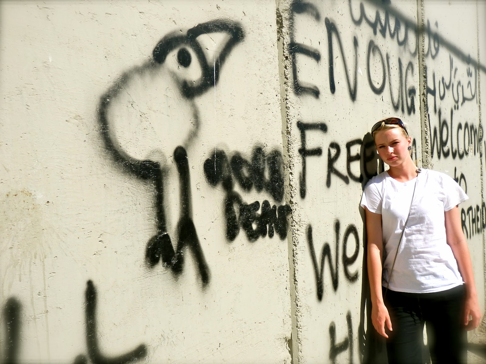 Experiencing the Holy Land Wall of Separation 101