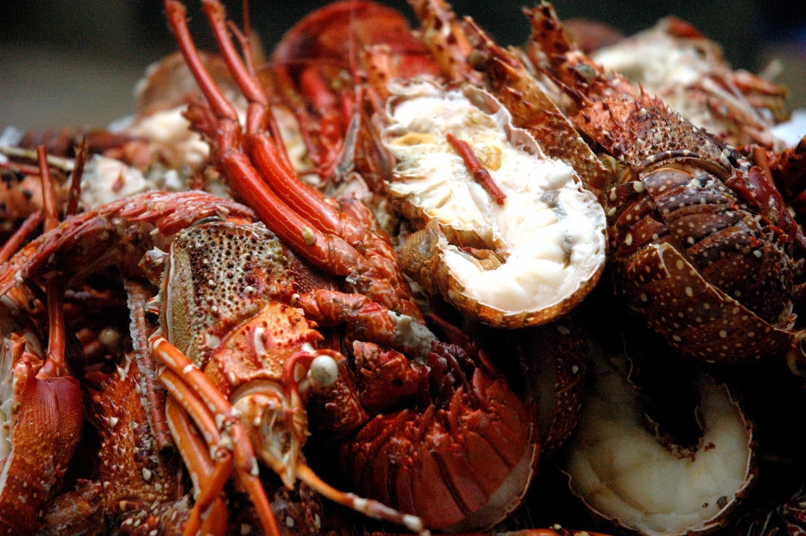 DUDE FOR FOOD The Grandi Vini Sunday Super Brunch at HEAT