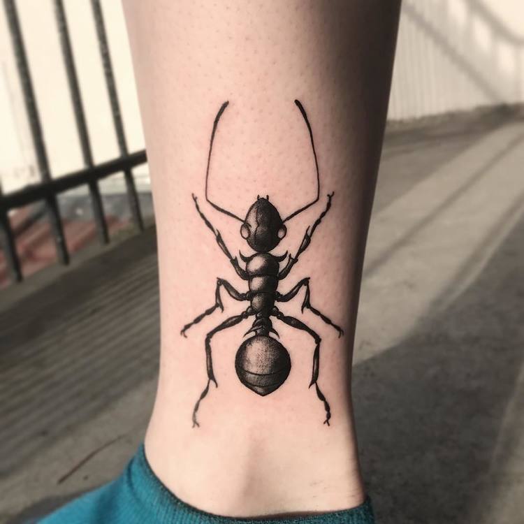 Tatuaje de hormigas por casse.noisette.tattoo
