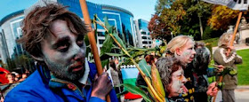 Γερμανία: Απαγορεύει την καλλιέργεια ΓΤΟ στην επικράτειά της