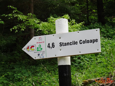 Stancile Coloape