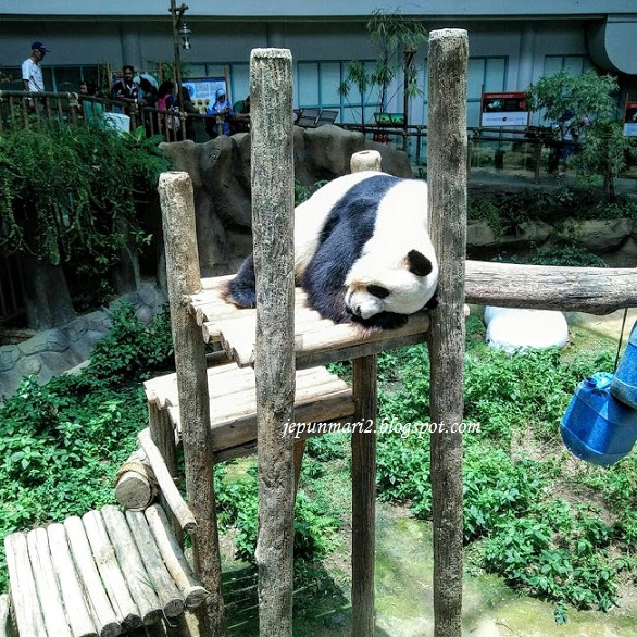Zoo Negara, kou tunggu kami datang !! Zoo Negara, kou tunggu kami datang !!