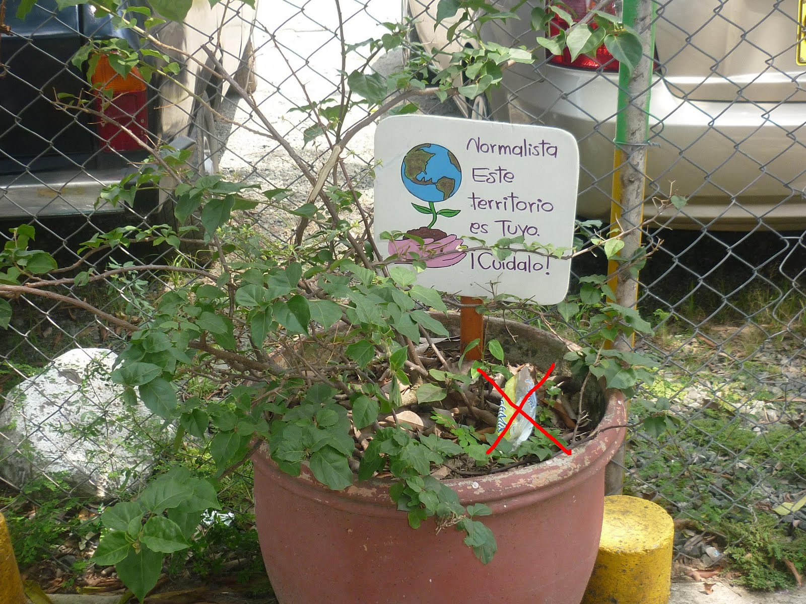 Jardines Normalistas: ENMARCACION DE JARDINES