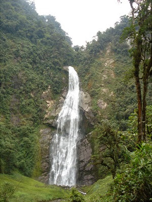 catarata numparket