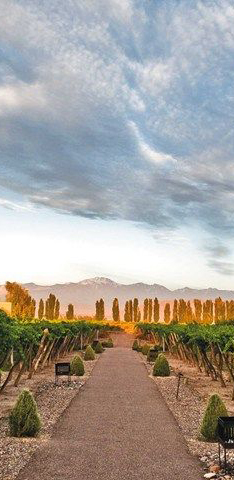 The Argentina | List of Most Romantic Summer Getaways for an Unforgettable Time