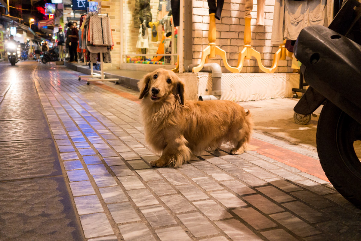 the indolent cook 10 things about Taiwan fun stuff and observations!