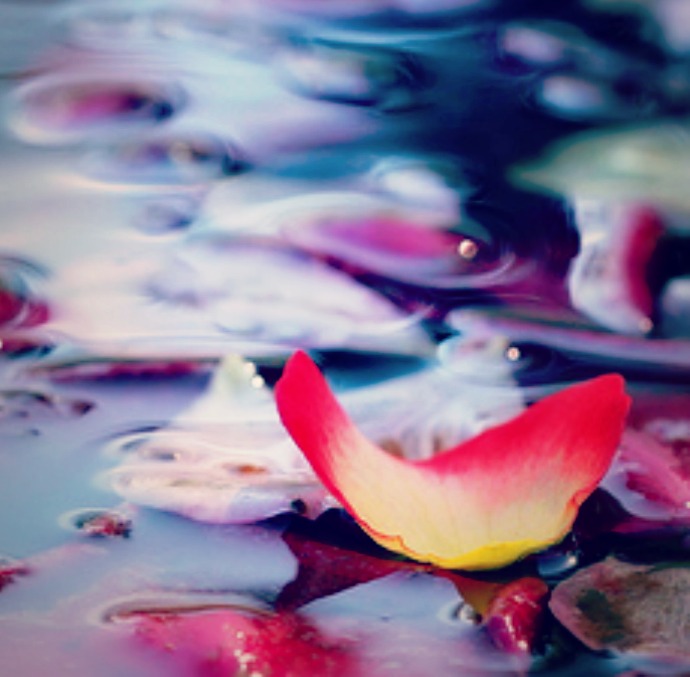 Rose Petal Spell for Serenity