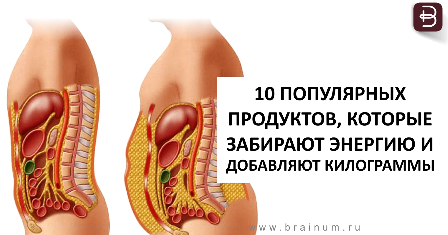 фудшеринг овощи. какие продукты забирают. какие продукты забирают. продукты для энергии и бодрости. какие продукты забирают.