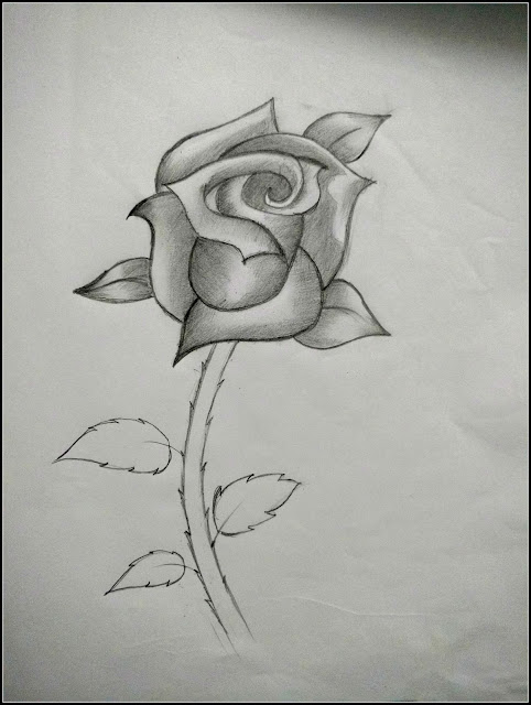 drawing roses drawing roses
