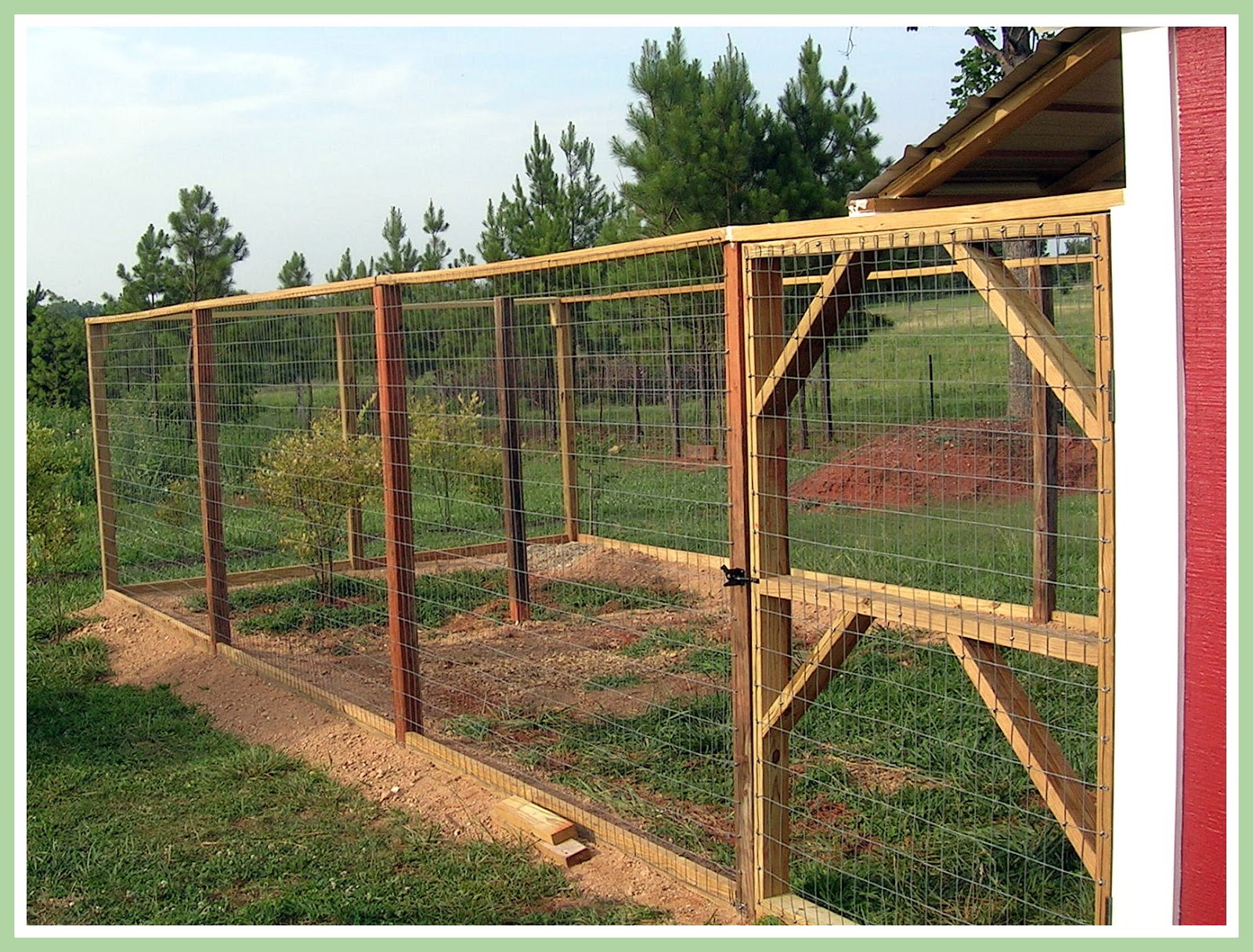 Wit's End Farm: The Chicken Yard!