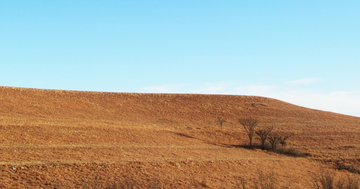 Mary's Be a GoodDog Blog: Hiking in the Flint Hills: Prudence Come Out ...