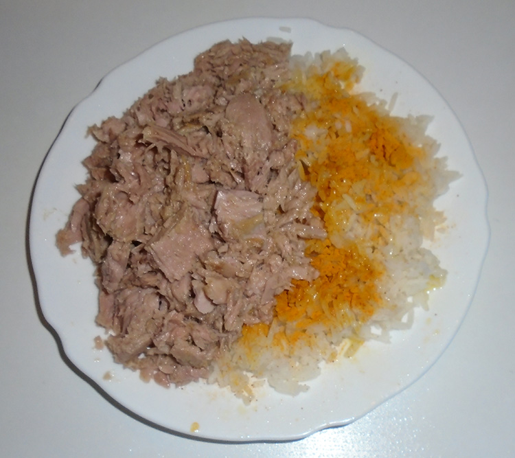 riz et thon
