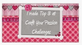 One of the top 3 picks @ Craft Your Passion Challenges