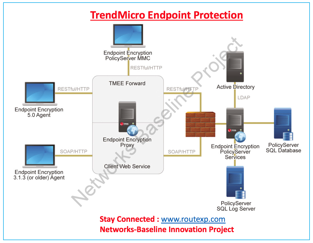 Leaders in Endpoint Security 3 Vendors of Industry Today Route XP