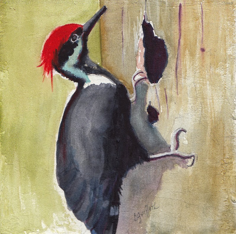 DAILY PAINTERS MARKETPLACE: PILEATED WOODPECKER WATERCOLOR PAINTING