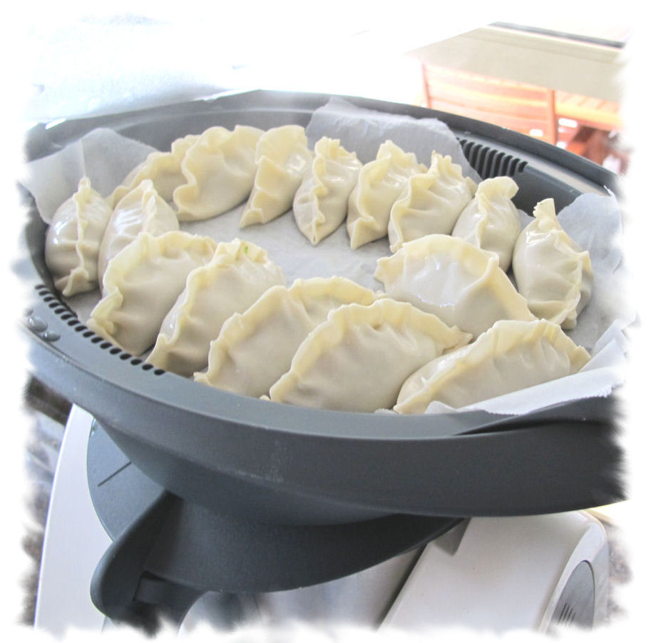 Melinda'sCreative Wishes Delicious Thermomix Dumplings