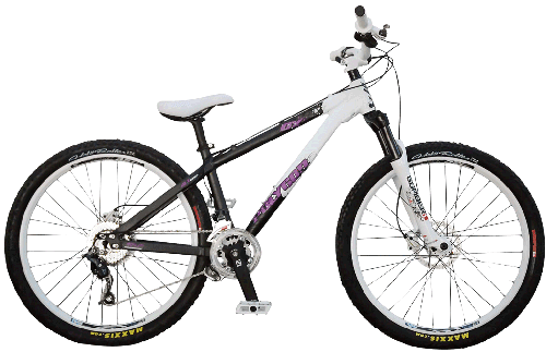 Polygon dirt jump cozmic dx 24 cheap