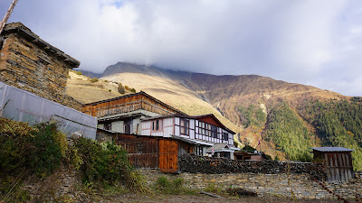 DSC01440.JPG