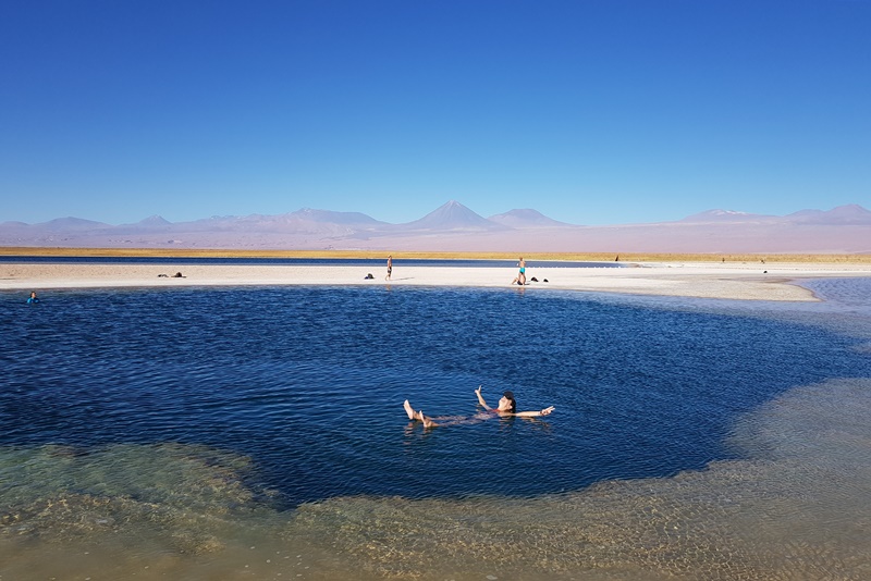 O que fazer no Deserto do Atacama: Laguna Cejar