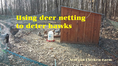 deer netting to deter hawks
