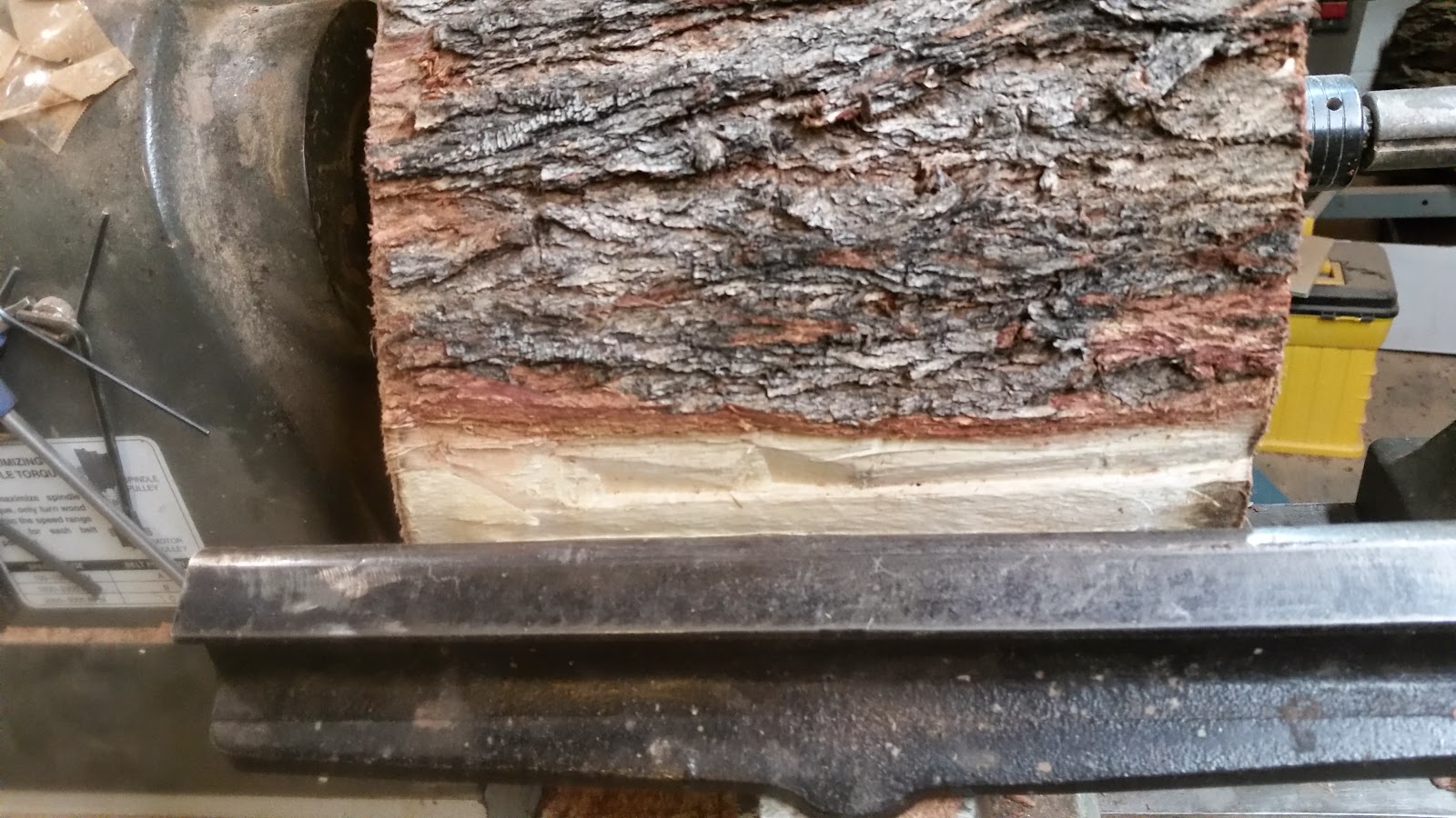 Experiment in turning wet wood, finishing while wet.